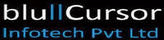 BluCursor Infotech Pvt. Ltd.